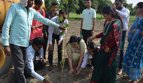 Tree Plantation
