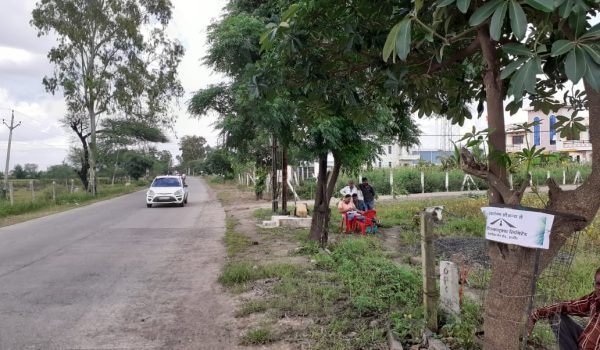 Tree Plantation Program